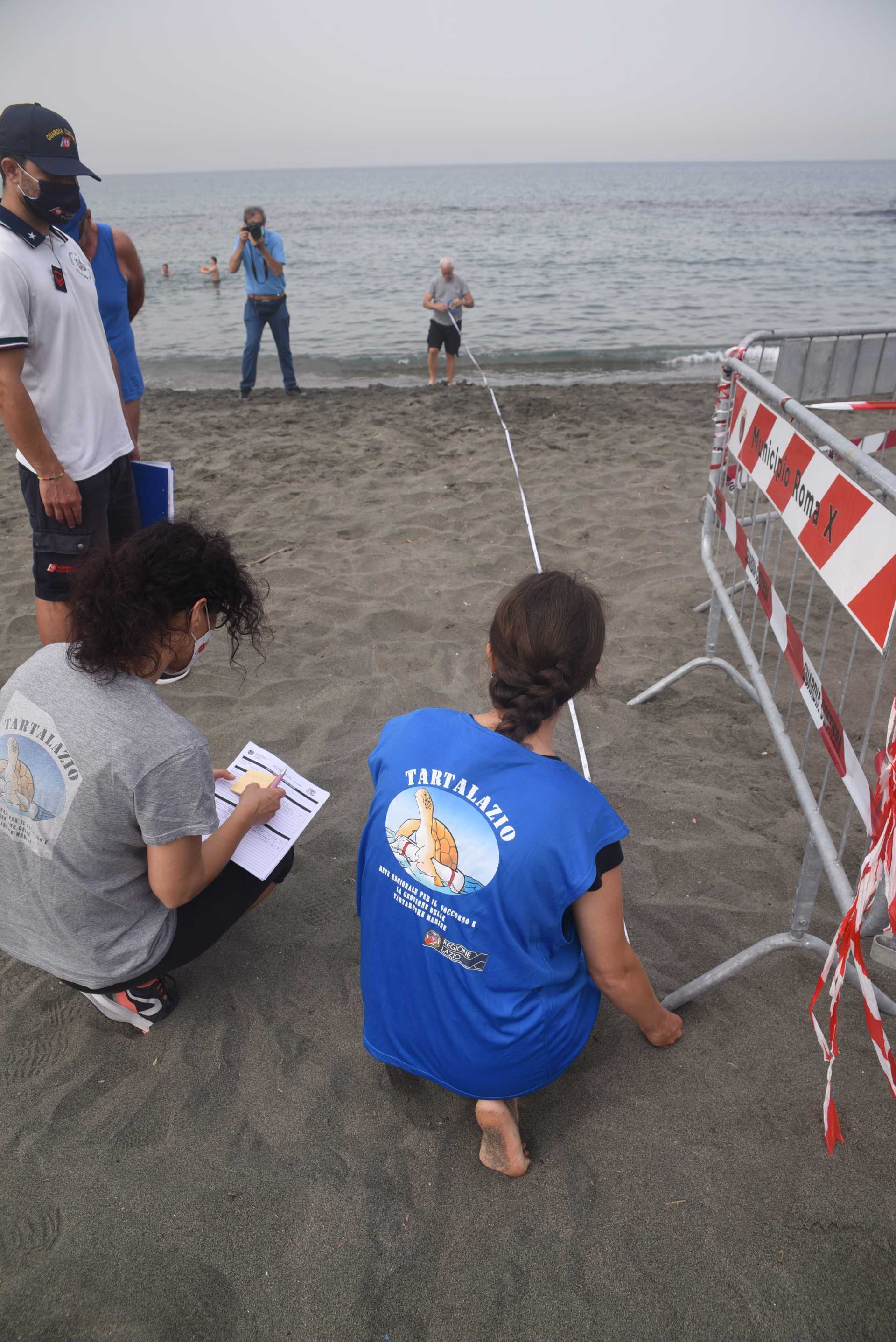 Una tartaruga marina deposita le sue uova a Ostia